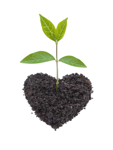Sustainable_Social_Enterpreneurship