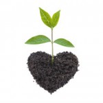 sustainable entrepreneurship 260x230