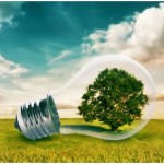 green business