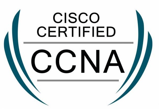 âccnaâçå¾çæç´¢ç»æ