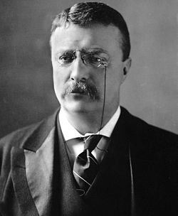 250px-Theodore_Roosevelt_circa_1902