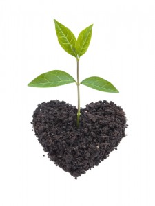 Sustainable_Social_Enterpreneurship