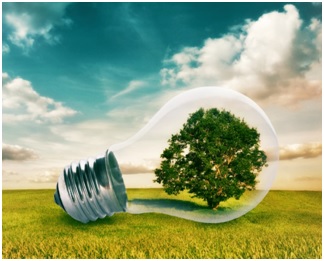 Growing A More Green And Sustainable Business