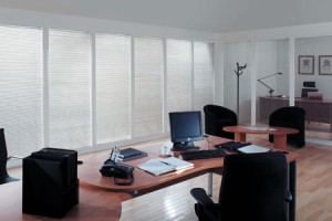 office windows