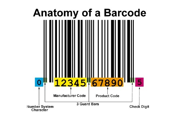 Barcodes Explained For Those Using Them In Business - Young Upstarts