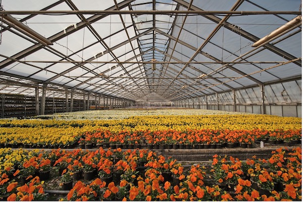 Want to Start A Horticulture Business?